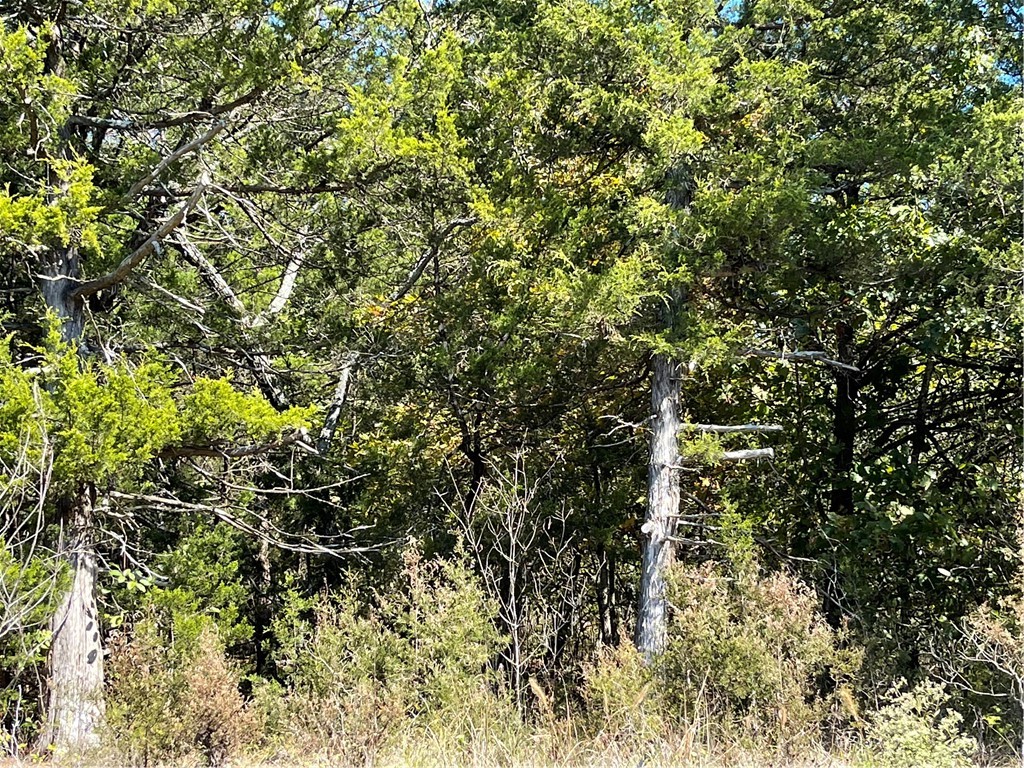 Unit 3 Holiday Island - Land