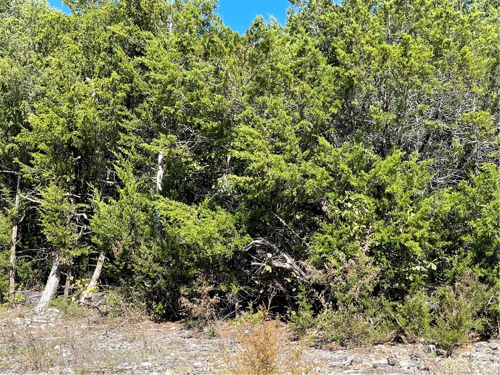 Unit 3 Holiday Island - Land