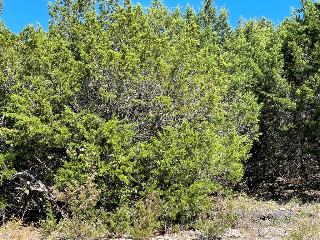 Unit 3 Holiday Island - Land