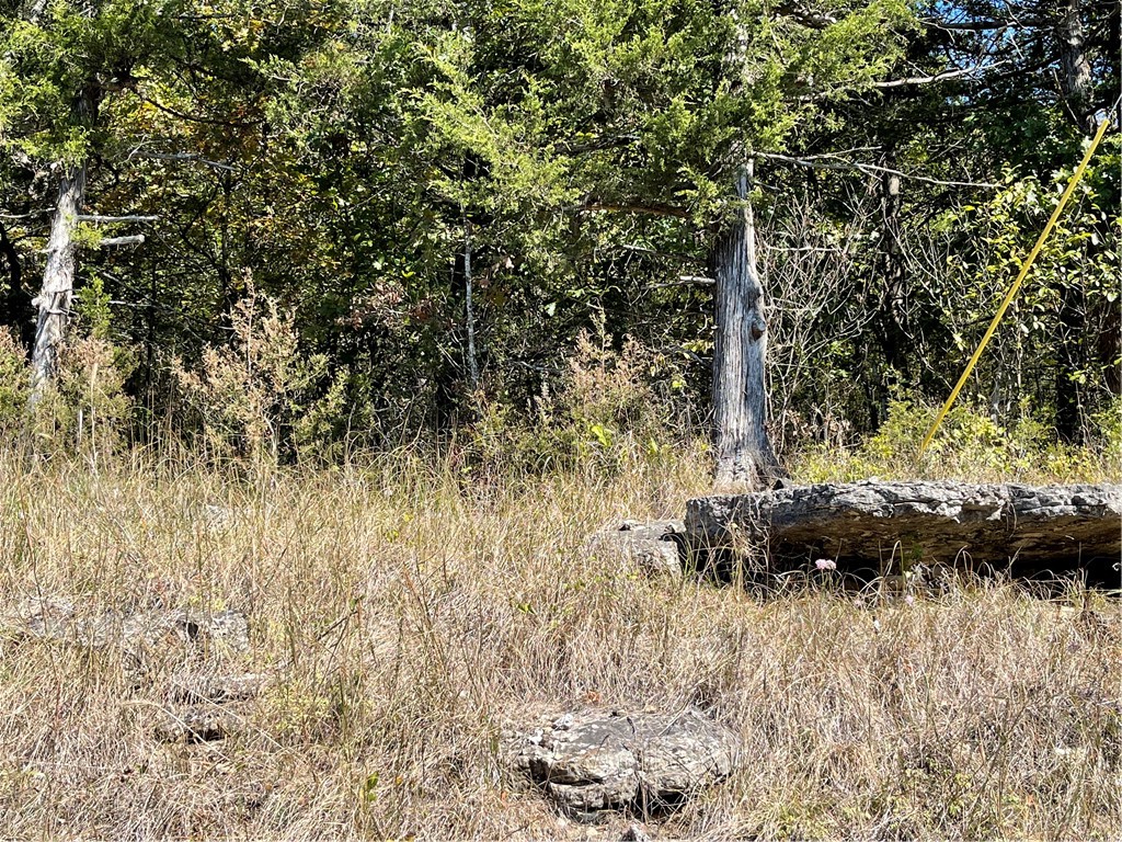 Unit 3 Holiday Island - Land