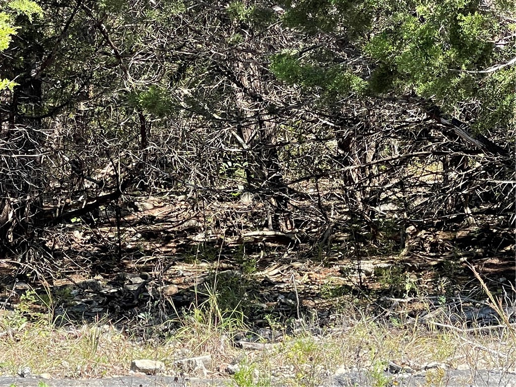 Unit 3 Holiday Island - Land