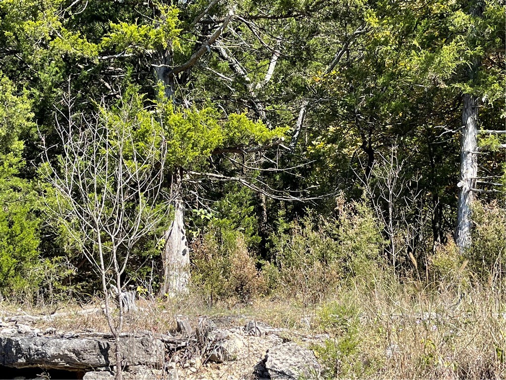 Unit 3 Holiday Island - Land