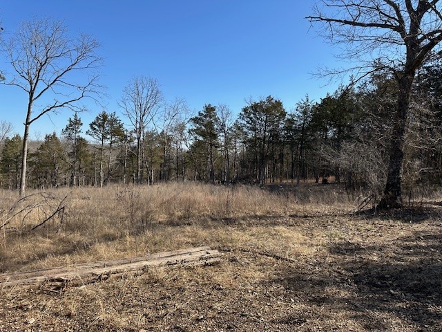 Nice level 12.08 acre building site for your new home! Land has been cleared for a home-site where a 314 foot deep well (drilled in 2008) is located. Well has 127 feet of casing and produces 60 gallons/min. There is currently no pump on the well. Static water level was 120 ft. The well head is sticking up about a foot and is painted white--about 50 feet from the road. Perc test site is located in that general area. Lot located about a mile from an input on Bull Shoals Lake, 30 minutes from Branson and 25 minutes from Harrison.