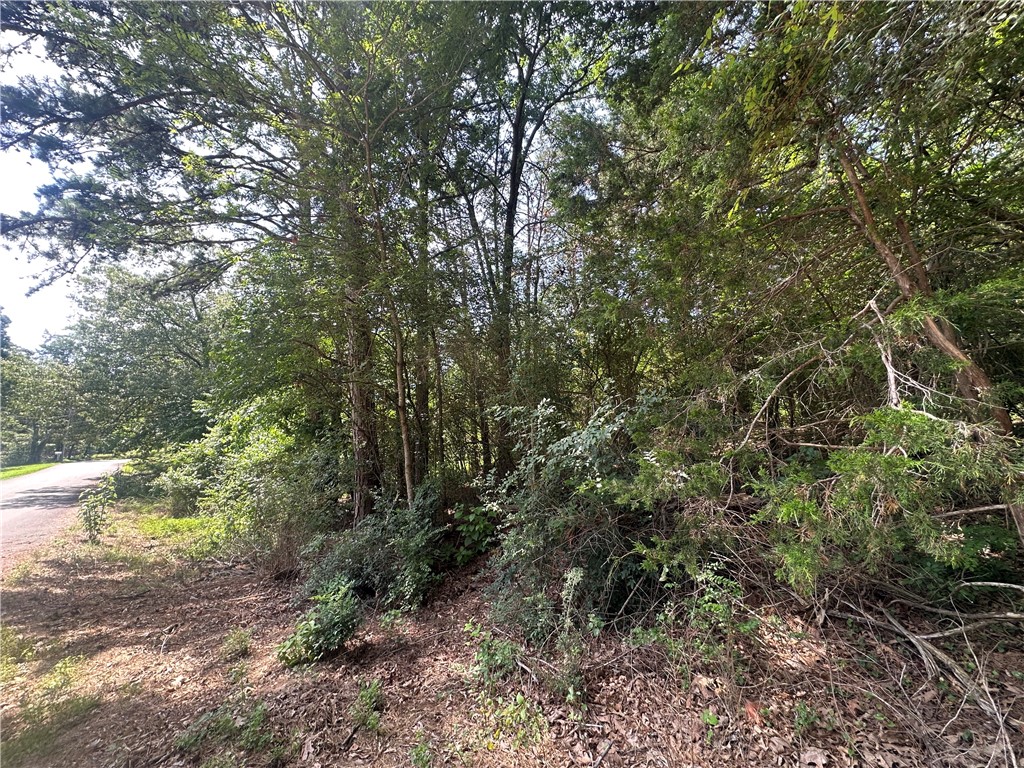 Wooded lots with partial lake view in fall/winter! Water and Electric at the paved road and sewer runs through the lot!
