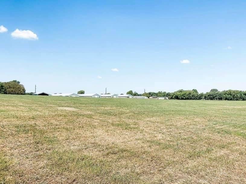 Chickens and cows oh my - Farm