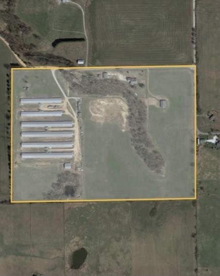 Chickens and cows oh my - Farm