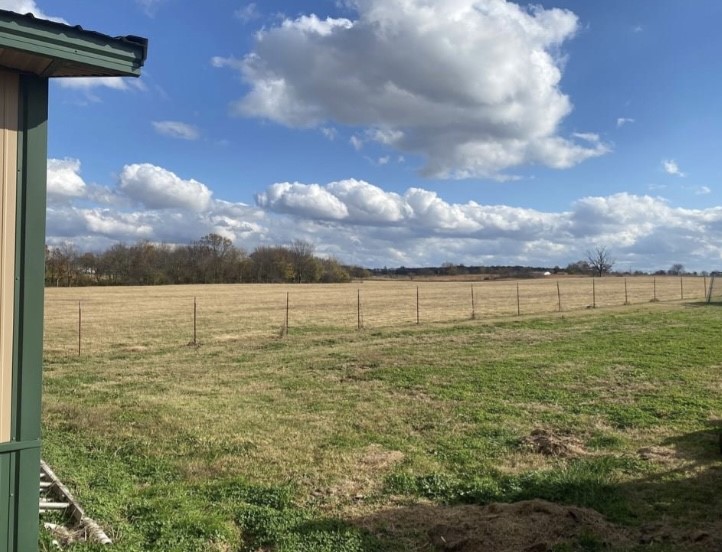 Chickens and cows oh my - Farm