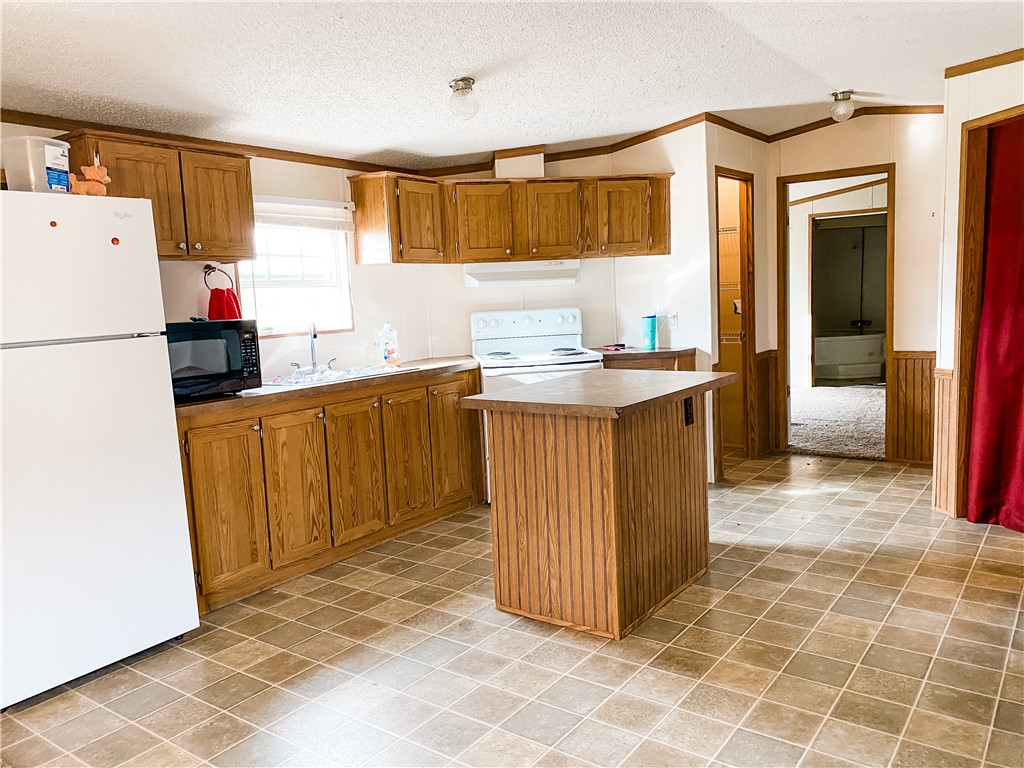 Chickens and cows oh my - Farm