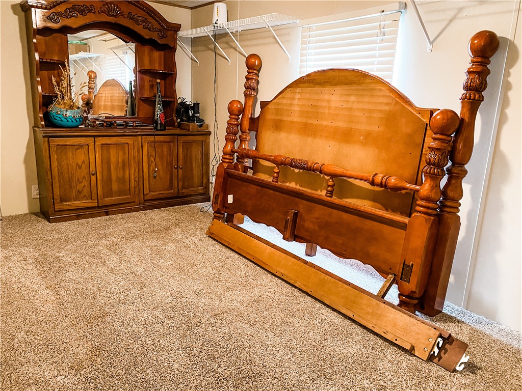 Chickens and cows oh my - Farm