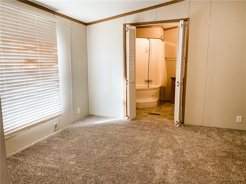 Chickens and cows oh my - Farm