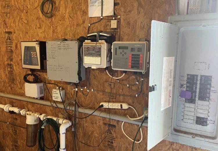 Chickens and cows oh my - Farm