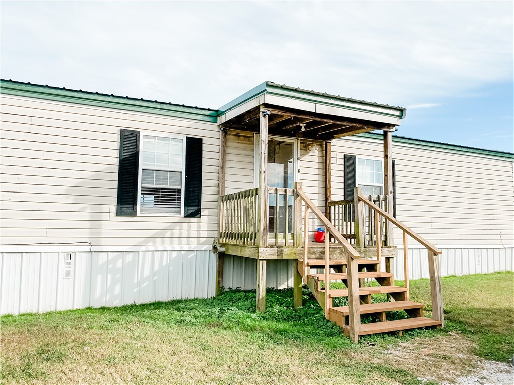 Chickens and cows oh my - Farm