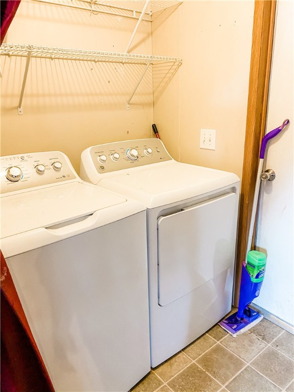 Chickens and cows oh my - Farm