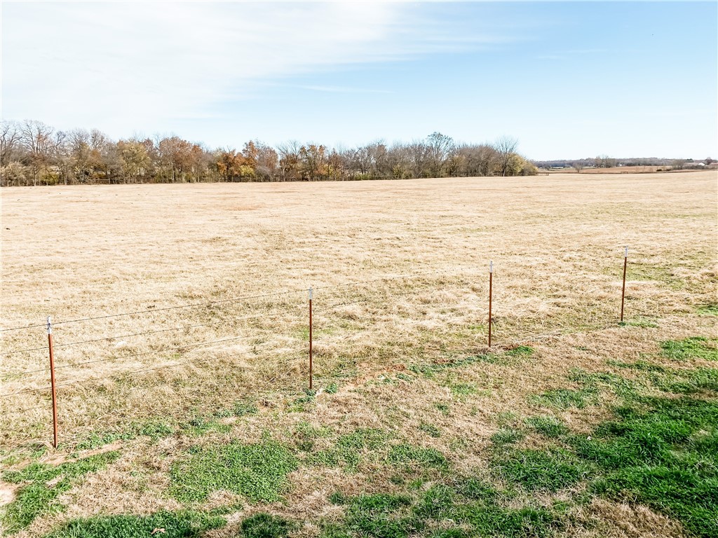 Chickens and cows oh my - Farm