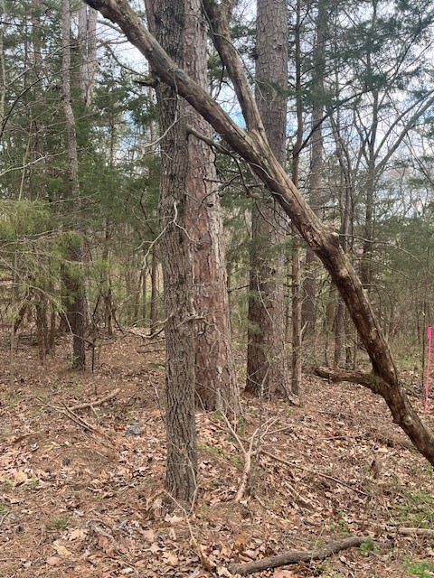 LANDS END SUB-BVV - Land