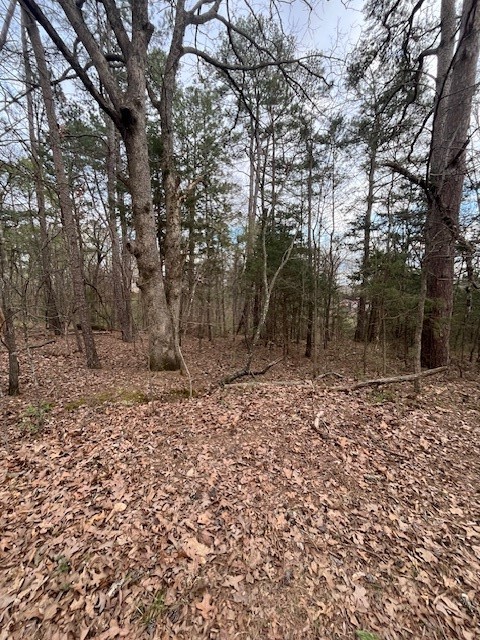 LANDS END SUB-BVV - Land