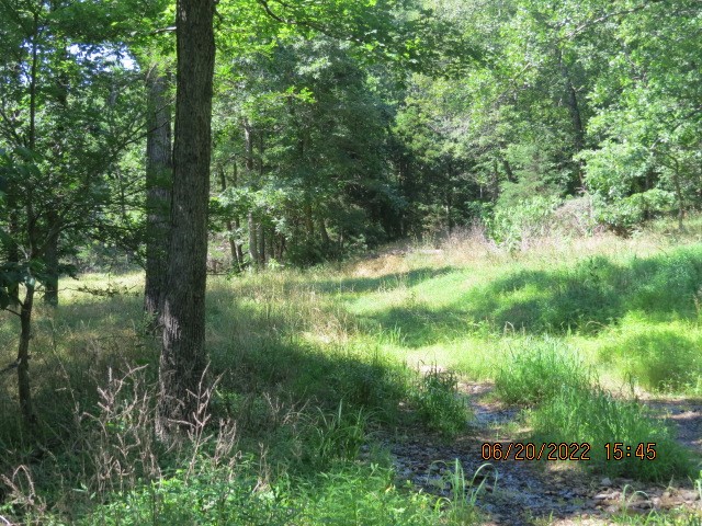 Mark Brewer I - Land