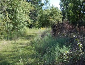 Here is your opportunity to own a piece of property in the beautiful Pleasant View area! Enjoy the peace of country living just minutes from downtown Russellville. This 1 acre lot is ready for you to build your home on it!