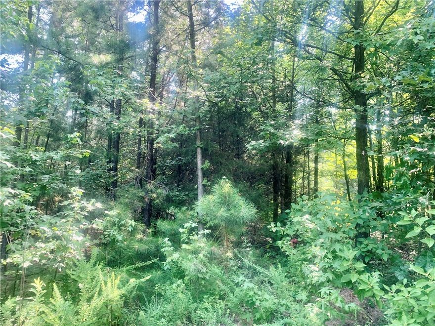 Exciting New Land Listing! This 7.8 acres could be the perfect place to build the home you've been dreaming of! Enjoy the tranquility and space of rural living while being close to all the amenities a small town has to offer. Whether you're planning to build a family home, a weekend getaway, or an investment property, this land offers endless possibilities. Don't miss out on this opportunity to own a piece of paradise in a prime location!