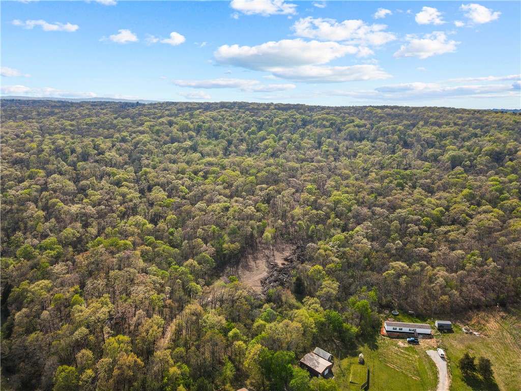 40 Acres like this doesn't come around in NWA very often. This peaceful Ozark, Slice of Heaven, is waiting on you for your future dream home. Complete with exceptional privacy, you'll feel a million miles away from the hustle and bustle of town yet, only 25 minutes from the University of Arkansas.
Washington Water Authority at the road along with Ozark Electric & High Speed Fiber via Ozark Go.
New survey is attached. Adjacent home with 10.5 Acres also available. See MLS - 1304879