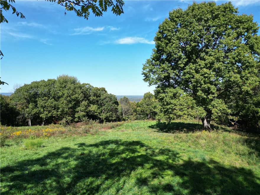 Own a piece of the Ozarks with this 10.76 acre tract only 4 miles from the Jasper square. Easy road access and utilities in the area, this mostly wooded tract with it's own natural spring has a small cleared area perfect for a building spot for your home, weekend retreat, or a nightly rental. Enjoy what the area has to offer like hiking trails, Buffalo National river, kayaking, and wildlife.