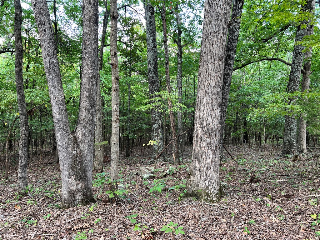Nice 160 acre property with end of road privacy and long views! Wooded with large timber, rolling benches with flat ridges. Developed spring, power on site, surveyed. Primarily untouched, no-hunt area for 50 years. 1800’s era cabin with hand hewn logs, some portable buildings for storage. Less than a mile to pavement but has a secluded feel. Great opportunity for a weekend getaway or peaceful country living. Call for an appointment today!