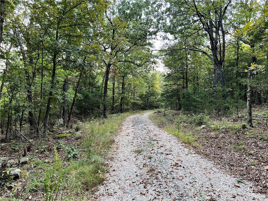 Nice 160 acre property with end of road privacy and long views! Wooded with large timber, rolling benches with flat ridges. Developed spring, power on site, surveyed. Primarily untouched, no-hunt area for 50 years. 1800’s era cabin with hand hewn logs, some portable buildings for storage. Less than a mile to pavement but has a secluded feel. Great opportunity for a weekend getaway or peaceful country living. Call for an appointment today! Utility availability is the responsibility of the buyer or buyers agent.
