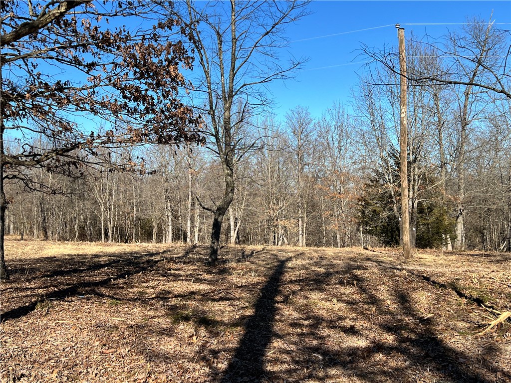 Looking for wooded acreage with utilities? This 14.78 acres is gently rolling and useable, primarily wooded with mature trees. Rural water, electric, and fiber on site. Enjoy dead end road privacy, yet easily accessible to Hwy 412. 10 min to Huntsville, under 30 min to Springdale/Fayetteville area. Great opportunity for your new home with room to roam! Utility availability is the responsibility of the buyer or buyers agent.