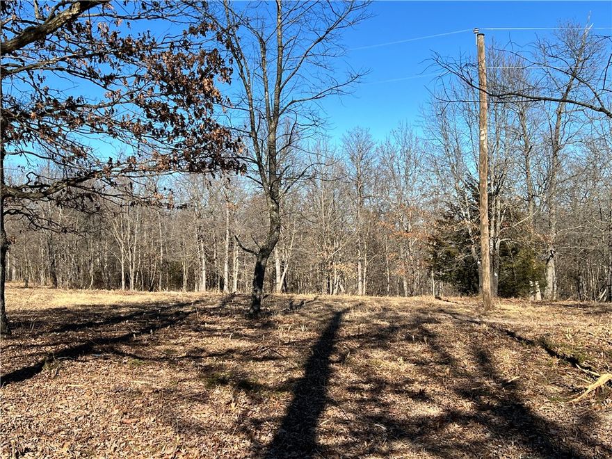 Looking for wooded acreage with utilities? This 14.78 acres is gently rolling and useable, primarily wooded with mature trees. Rural water, electric, and fiber on site. Enjoy dead end road privacy, yet easily accessible to Hwy 412. 10 min to Huntsville, under 30 min to Springdale/Fayetteville area. Great opportunity for your new home with room to roam! Utility availability is the responsibility of the buyer or buyers agent.