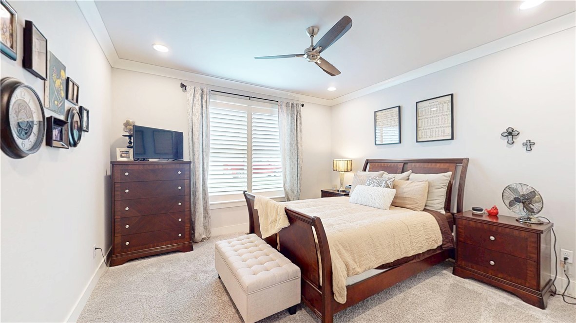 Oak Tree - Residential