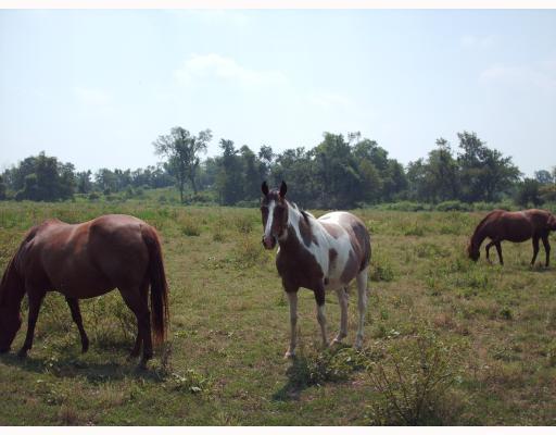 29-20-31 Rural - Land