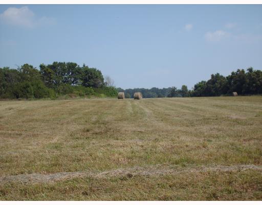 29-20-31 Rural - Land