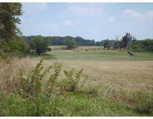 Heart stopping beautiful. Back entry end of Cutberth Lane 1/2 mile from Gamble Road school and new Bentonville high school. Talamore Herbaugh Estates nearby. Great place to live.