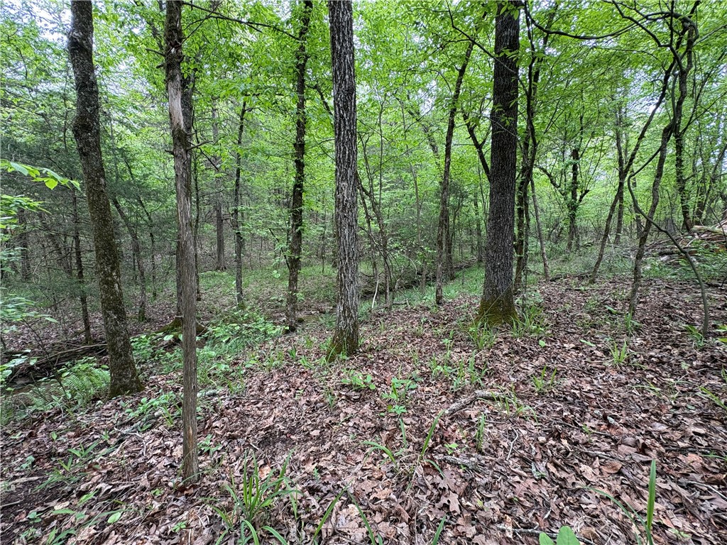 34-4S-26W RURAL ACREAGE - Land