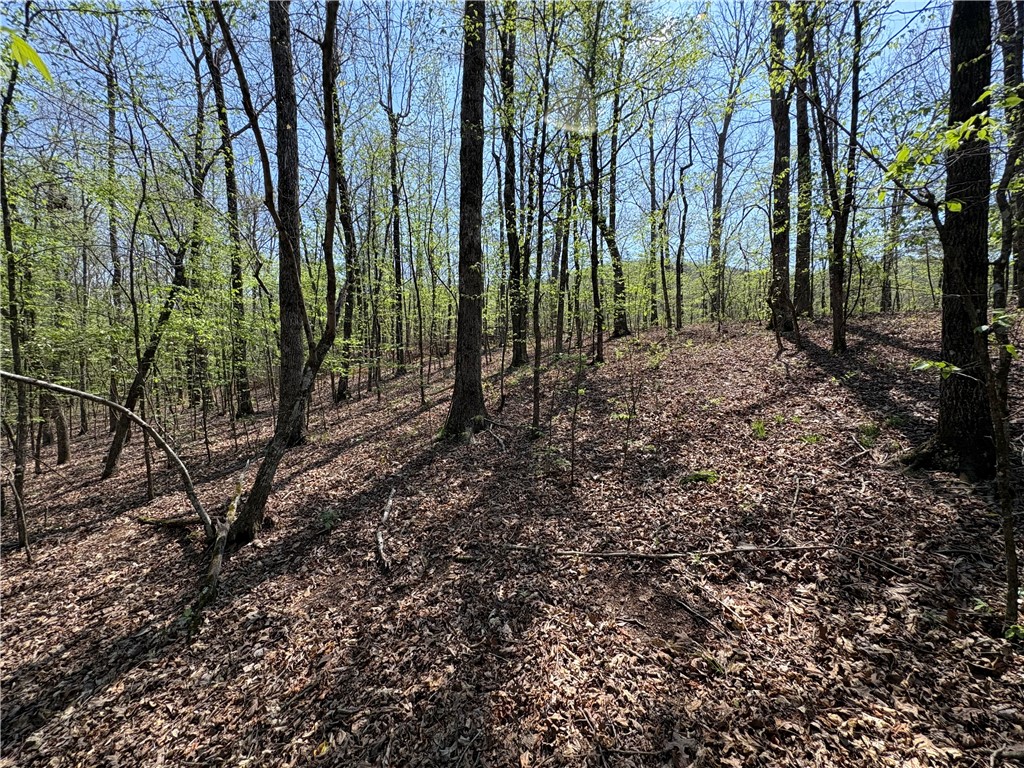 34-4S-26W RURAL ACREAGE - Land