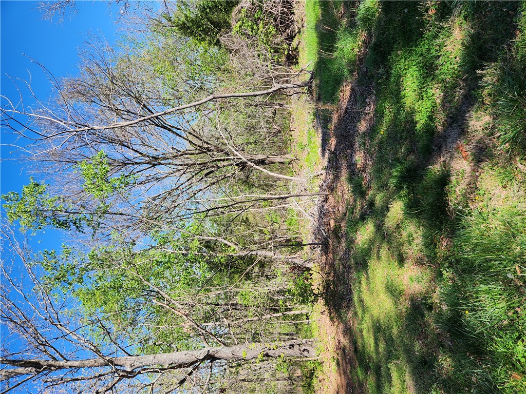 Waterbury Sub Bvv - Land