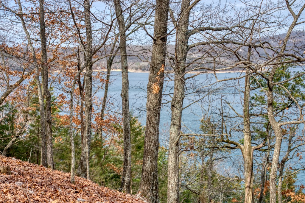 The Pointe Estates - Land