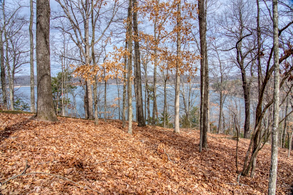 The Pointe Estates - Land