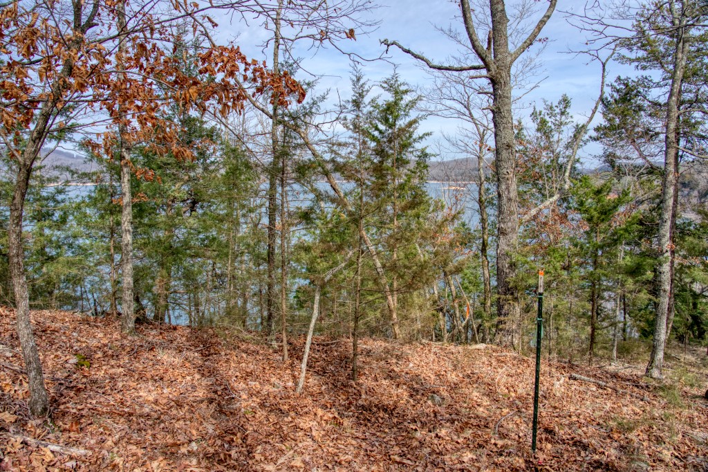The Pointe Estates - Land