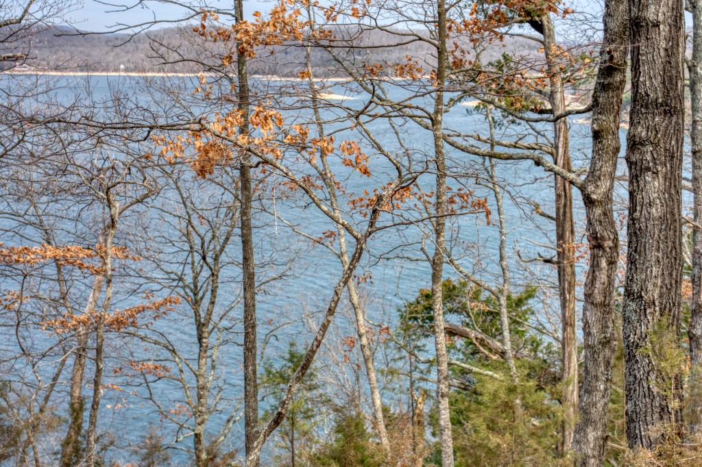 A++ view from this Beaver Lake front lot located in one of the newest subdivisions in the area! Amazing 180 degree views from this 3+ acre lot located very close to Starkey Marina! This small, upscale subdivision gives you easy paved road access and underground power. The buyer will also have the ability to use an amazing co-owned lake front area that is right at the waterās edge! Access to this lake front area is a short walk from this lot. Come build your dream home and watch sunsets and 4th of July fireworks from your deck!