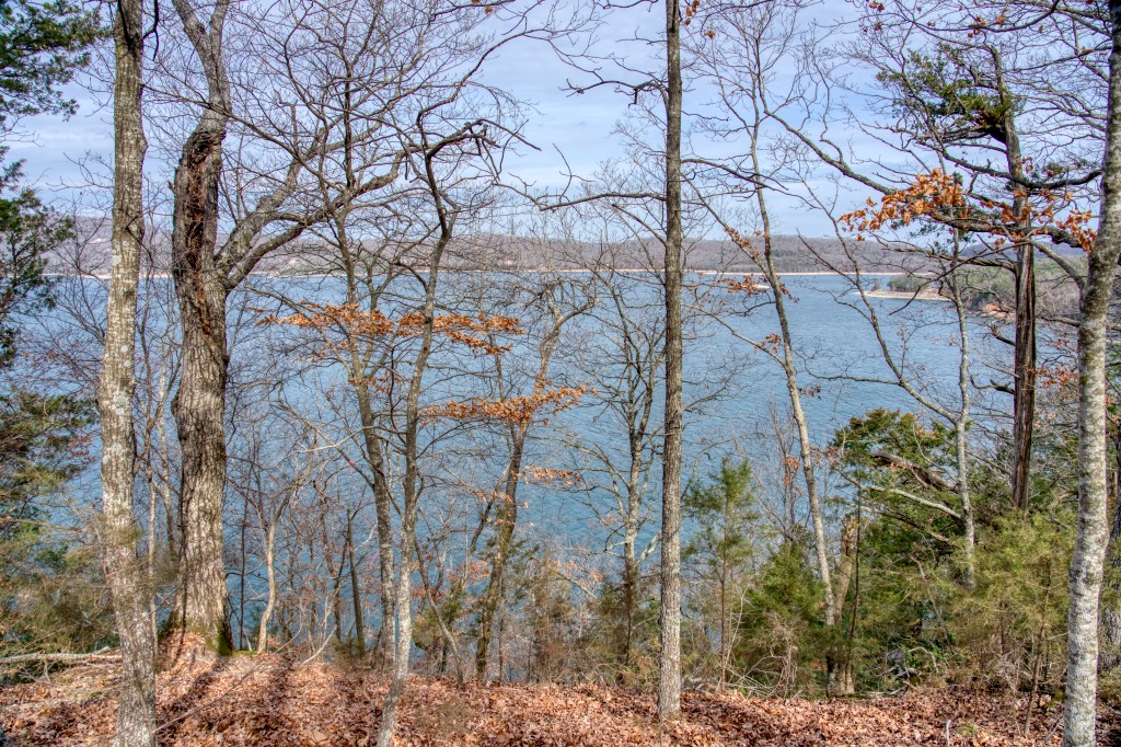 The Pointe Estates - Land