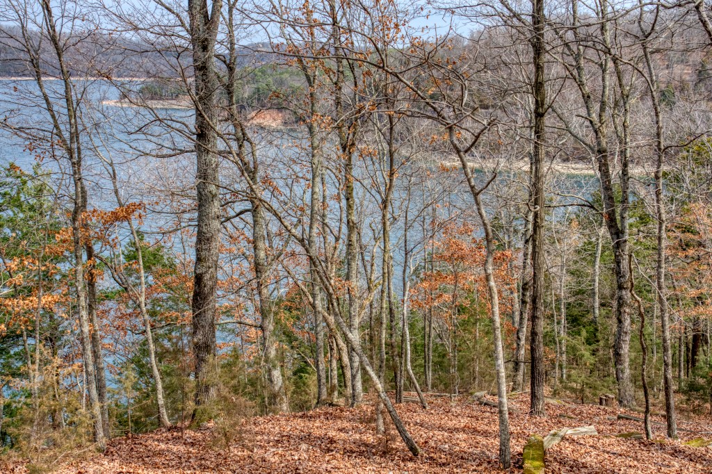The Pointe Estates - Land