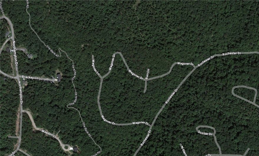 Large wooded lot near the Missouri/Arkansas state line.