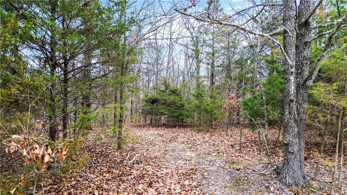 Peaceful 2.57-acre lots just south of Garfield and only 20 minutes from Downtown Rogers, this property offers a tranquil wooded landscape. Perfectly situated on a quiet country road, it provides a private retreat while remaining just a few miles from the scenic Beaver Lake. Each lot has perc'd for a 4-bedroom home in 2023, making it ideal to build your dream home or weekend getaway. This land presents an incredible opportunity to embrace the natural beauty of Northwest Arkansas!