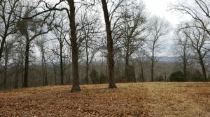 JOINS / BORDERS the Buffalo National River Park!! 32 secluded acres nestled in the woods with seasonal creek, mountain views, large trees, and excellent hunting!! A rare piece of private Ozark property!!
