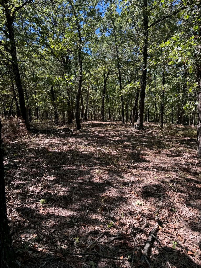 Lake Lucerne Estates Sub - Land