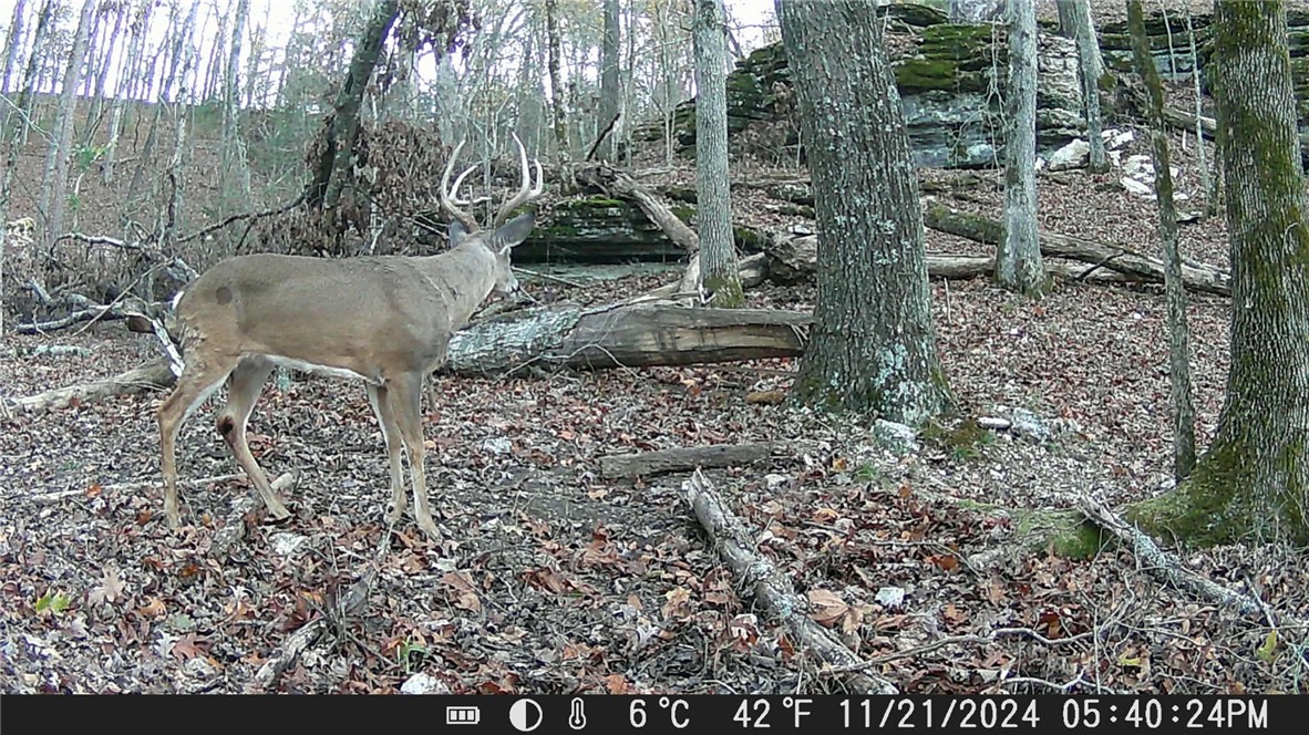 Lake Lucerne Estates Sub - Land