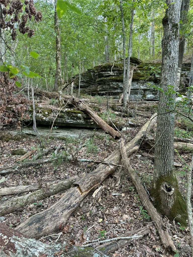 Lake Lucerne Estates Sub - Land