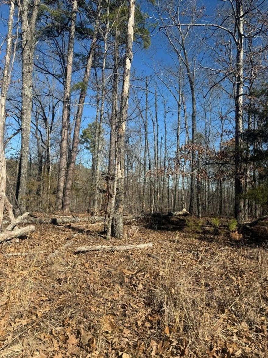 40 acres of beautiful raw timberland with county road frontage on a quiet dead-end road. Electric available at the road. This unrestricted property offers endless possibilities—ideal for hunting, recreation, or future development. Abundant wildlife makes it a perfect outdoor retreat. Secluded yet accessible, this is your chance to own a versatile piece of land with great potential.