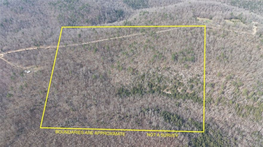 40 acres of beautiful raw timberland with county road frontage on a quiet dead-end road. Electric available at the road. This unrestricted property offers endless possibilities—ideal for hunting, recreation, or future development. Abundant wildlife makes it a perfect outdoor retreat. Secluded yet accessible, this is your chance to own a versatile piece of land with great potential.